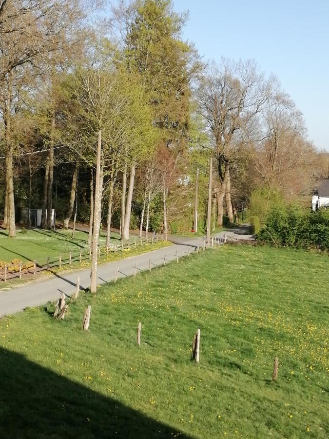 B&B V.K. Pgmbh St. Vith Bagian luar foto
