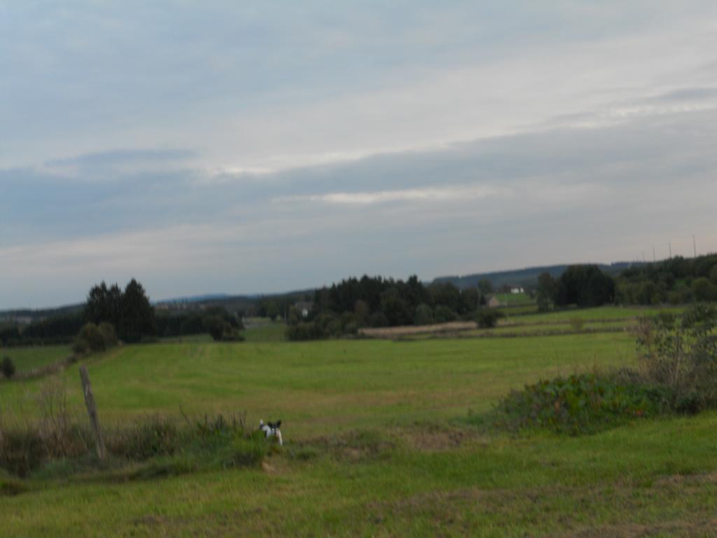 B&B V.K. Pgmbh St. Vith Bagian luar foto
